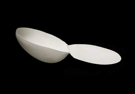 BRAXON-PRO_0002_Braxon+Fast