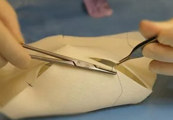 BRAXON_0001_braxon-pro 2